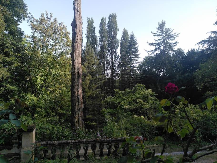 Magnifiques Ecuries Juste Renovees - Domaine De La Mulotiere Langeais Exterior foto